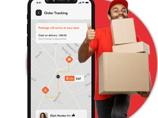 Delivery System 